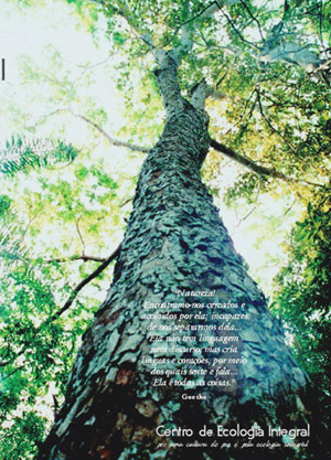 Quarta capa Revista Ecologia Integral 16