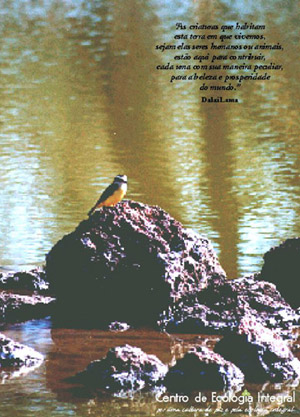 Quarta capa Revista Ecologia Integral 17